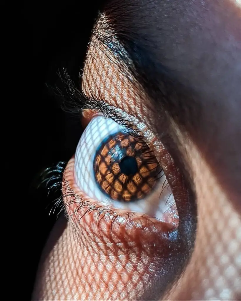 eye, pupil, vision, iris, brown eye, retina, eyeball, eyelashes, looking, staring, girl, woman, female, macro, closeup, retina, eyeball, eyeball, eyeball, eyeball, eyeball